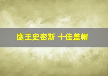 鹰王史密斯 十佳盖帽